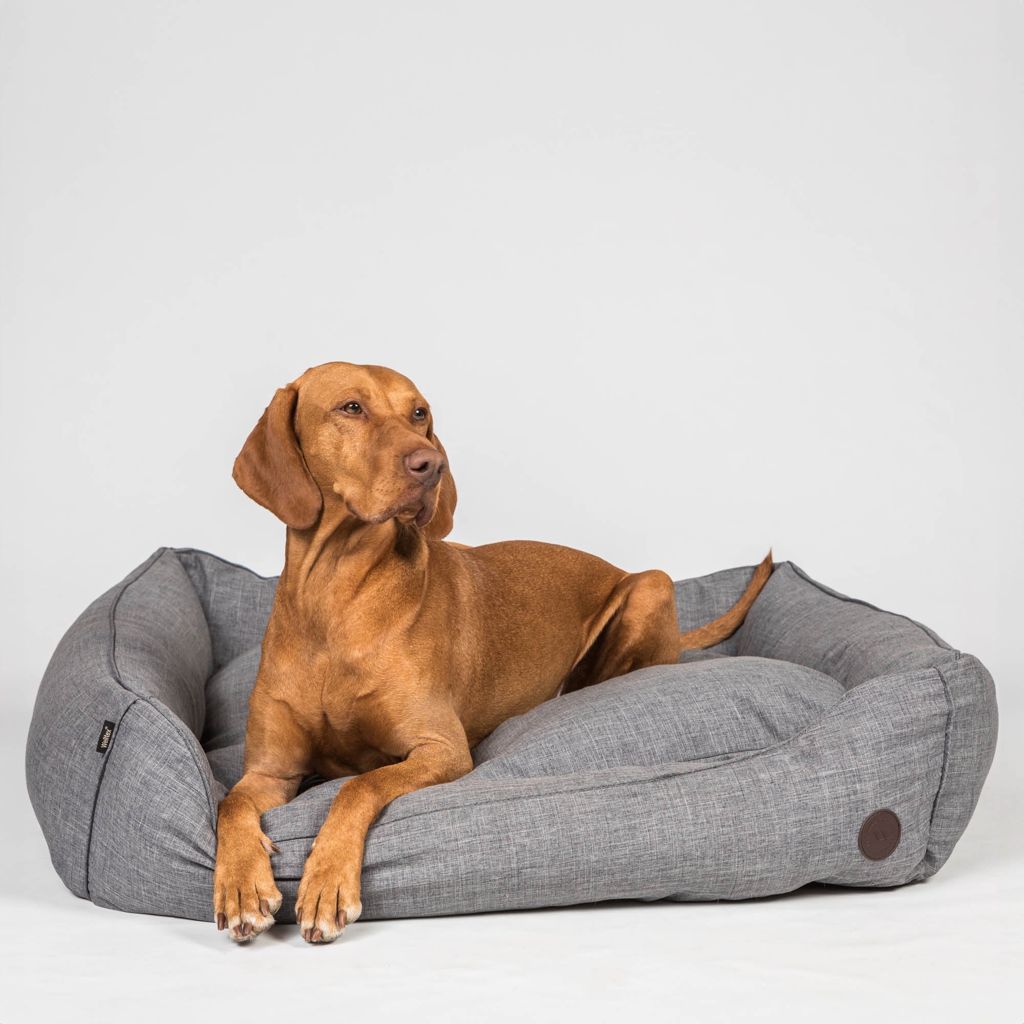 Back on Track Rocky Hundbädd – Grå