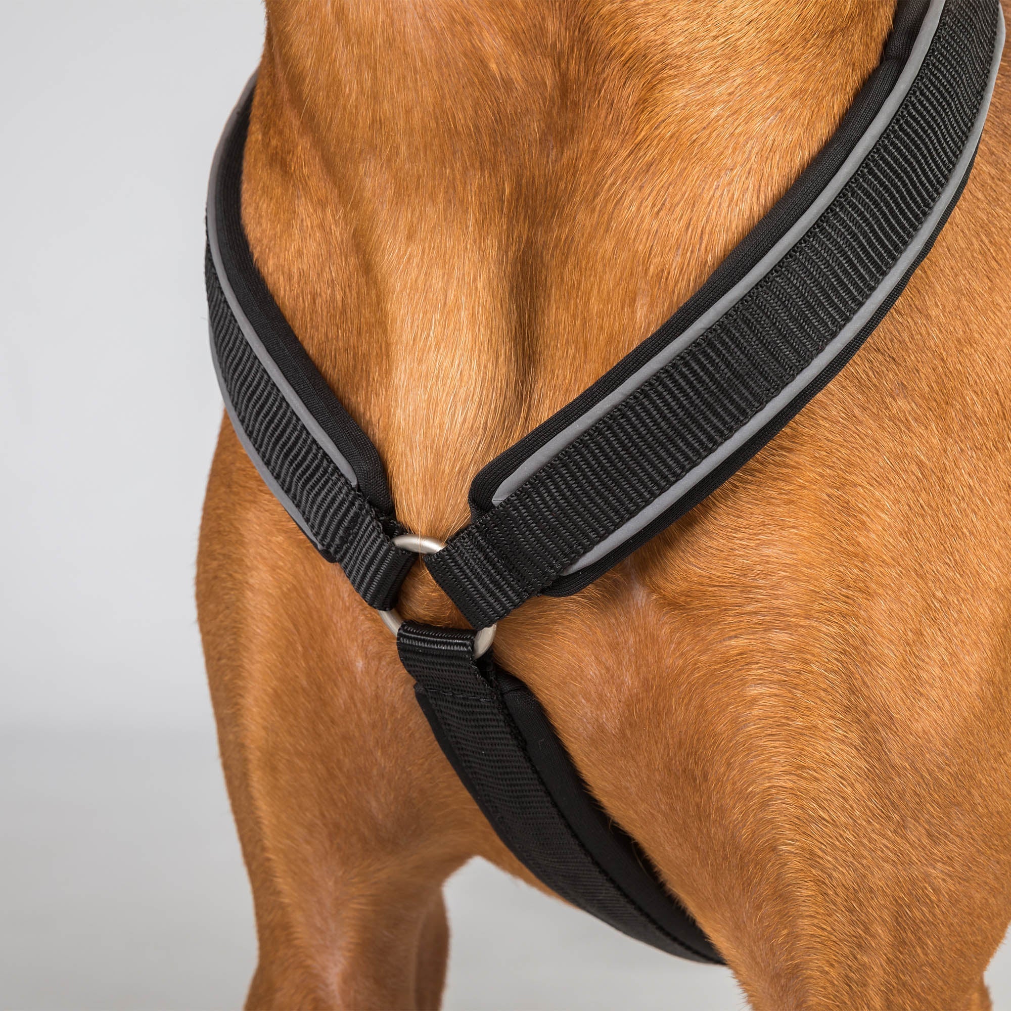 Back on Track Sally Hundsele – Svart