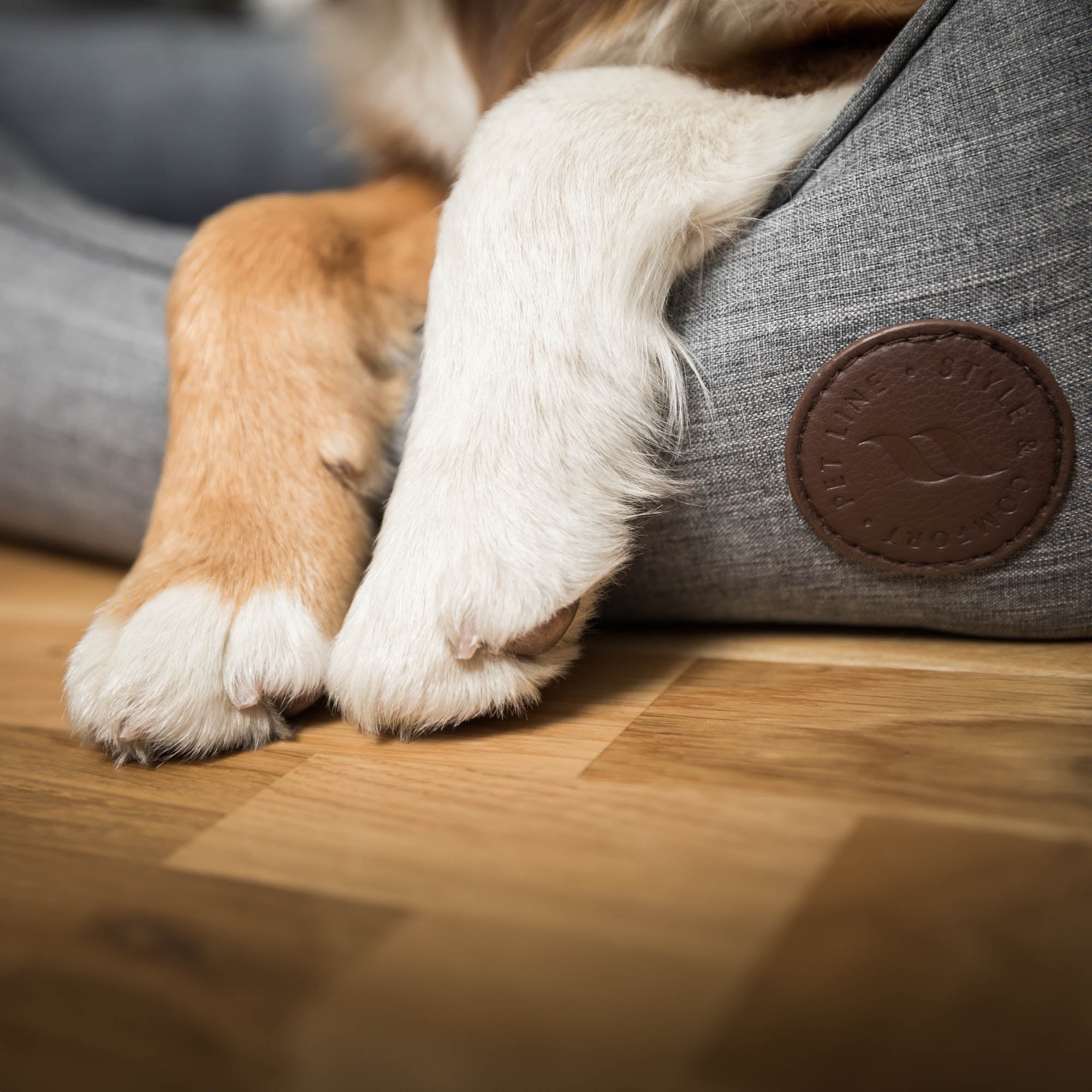 Back on Track Rocky Hundbädd – Grå