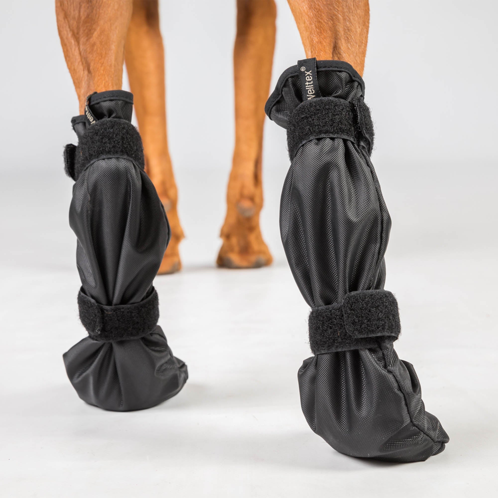 Back on Track Lola Hundsocka Hög – Svart