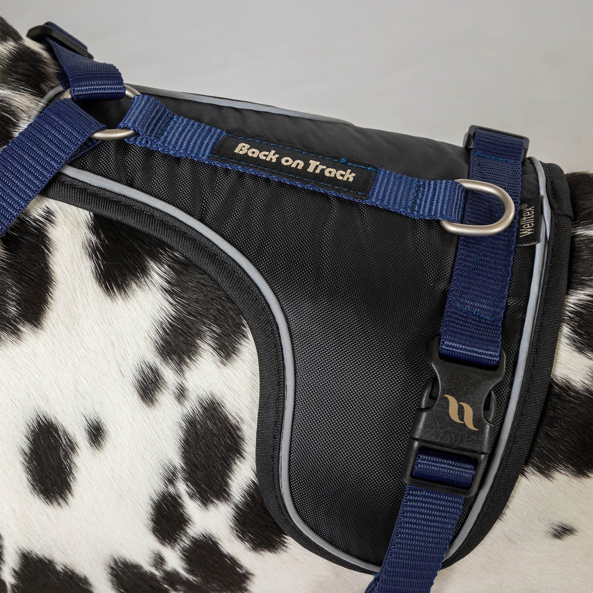 Back on Track Max Hundsele – Blå