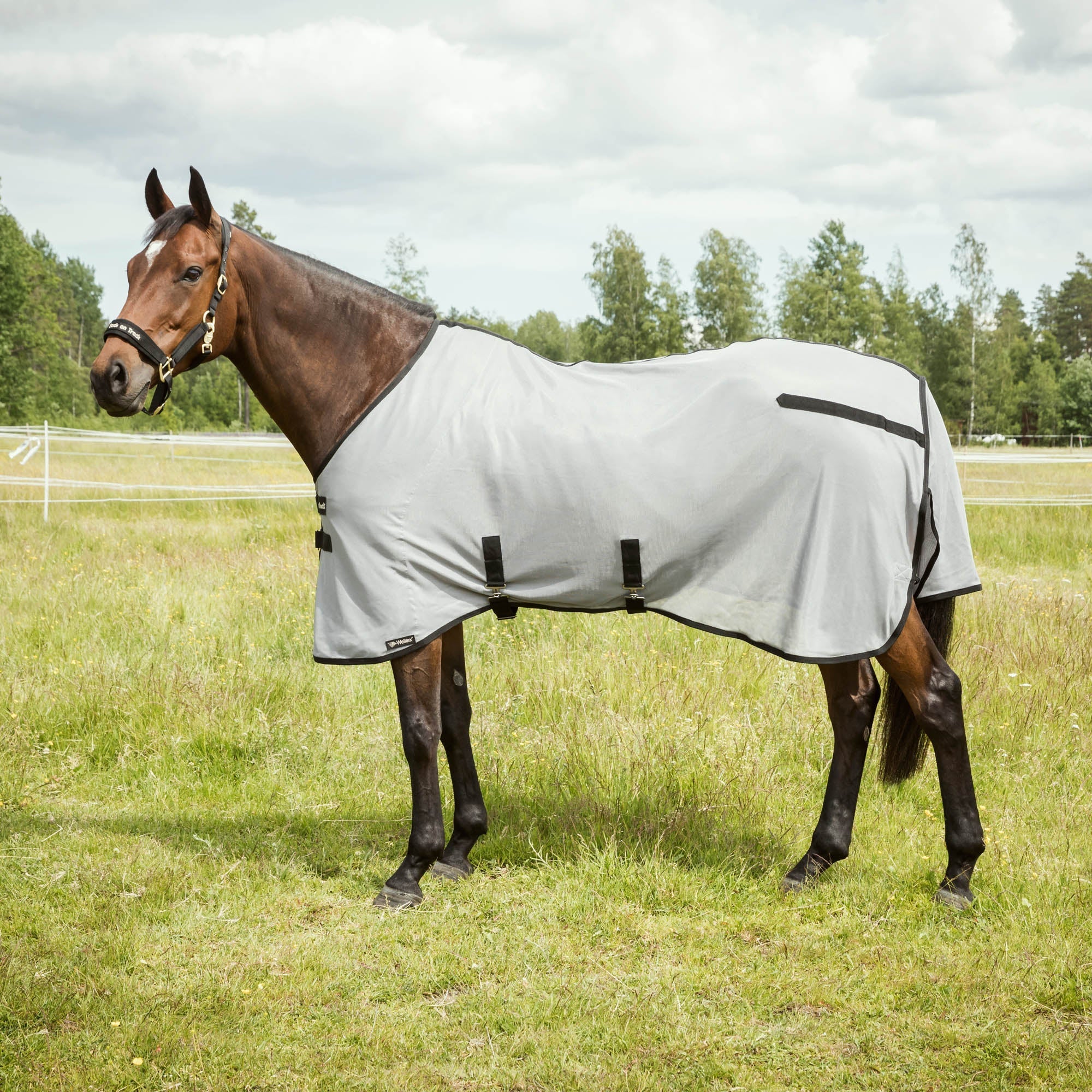 Back on Track Buzter Flugtäcke utan Halsdel – Grå