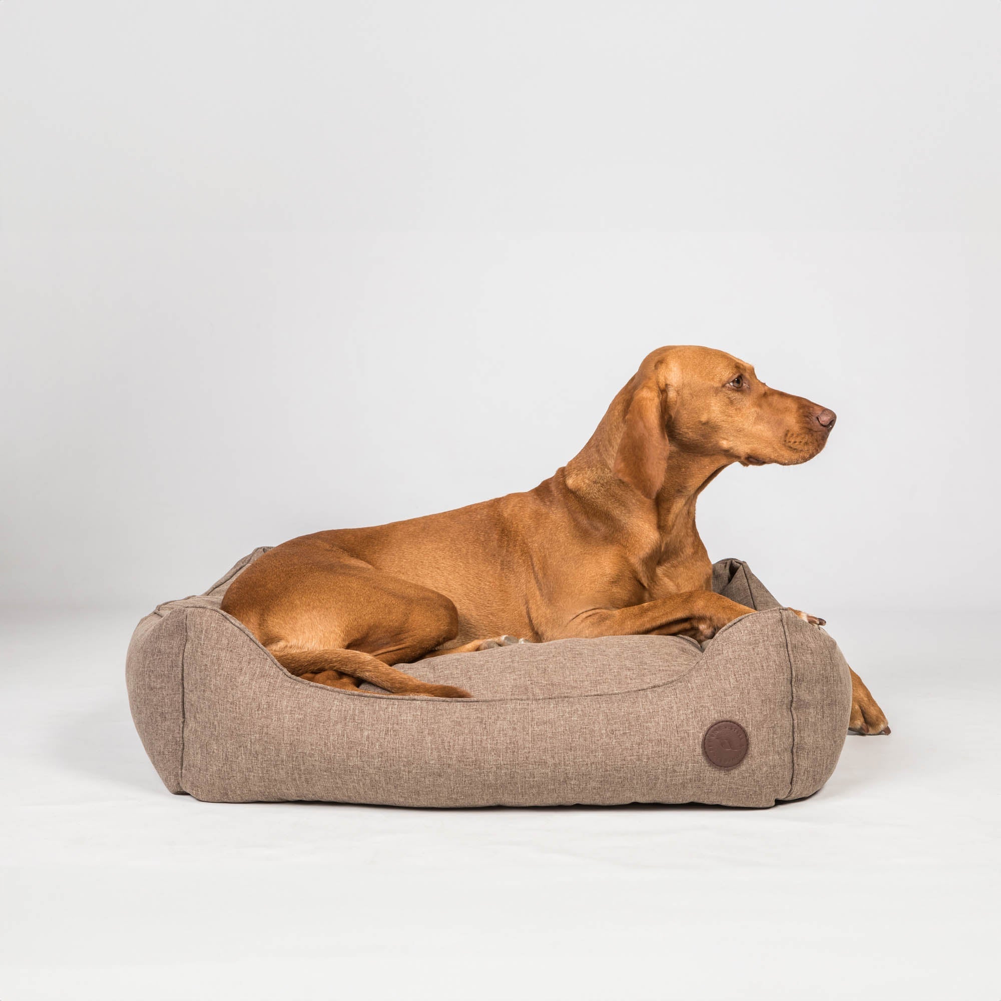 Back on Track Rocky Hundbädd – Brun