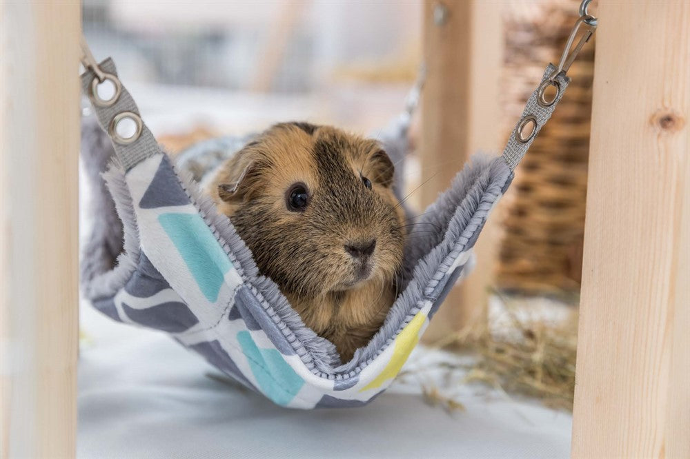 Trixie Sunny skydd/plattform med hammock 28×24×28 cm