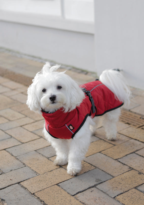 Trixie Minot hundtäcke - Röd