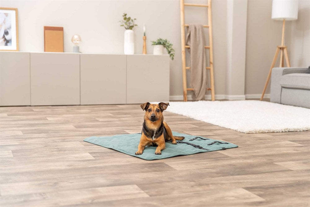 Trixie Resefilt 80×80 cm - Sage