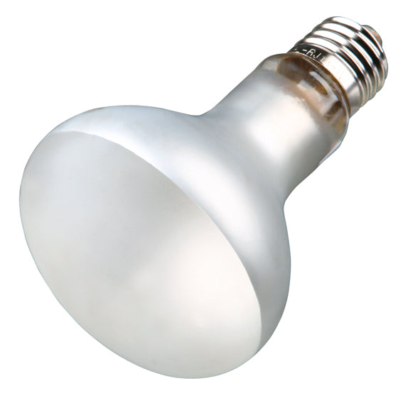 Trixie Terrarielampa Mini ProSun - ø 80×108 mm 70 W