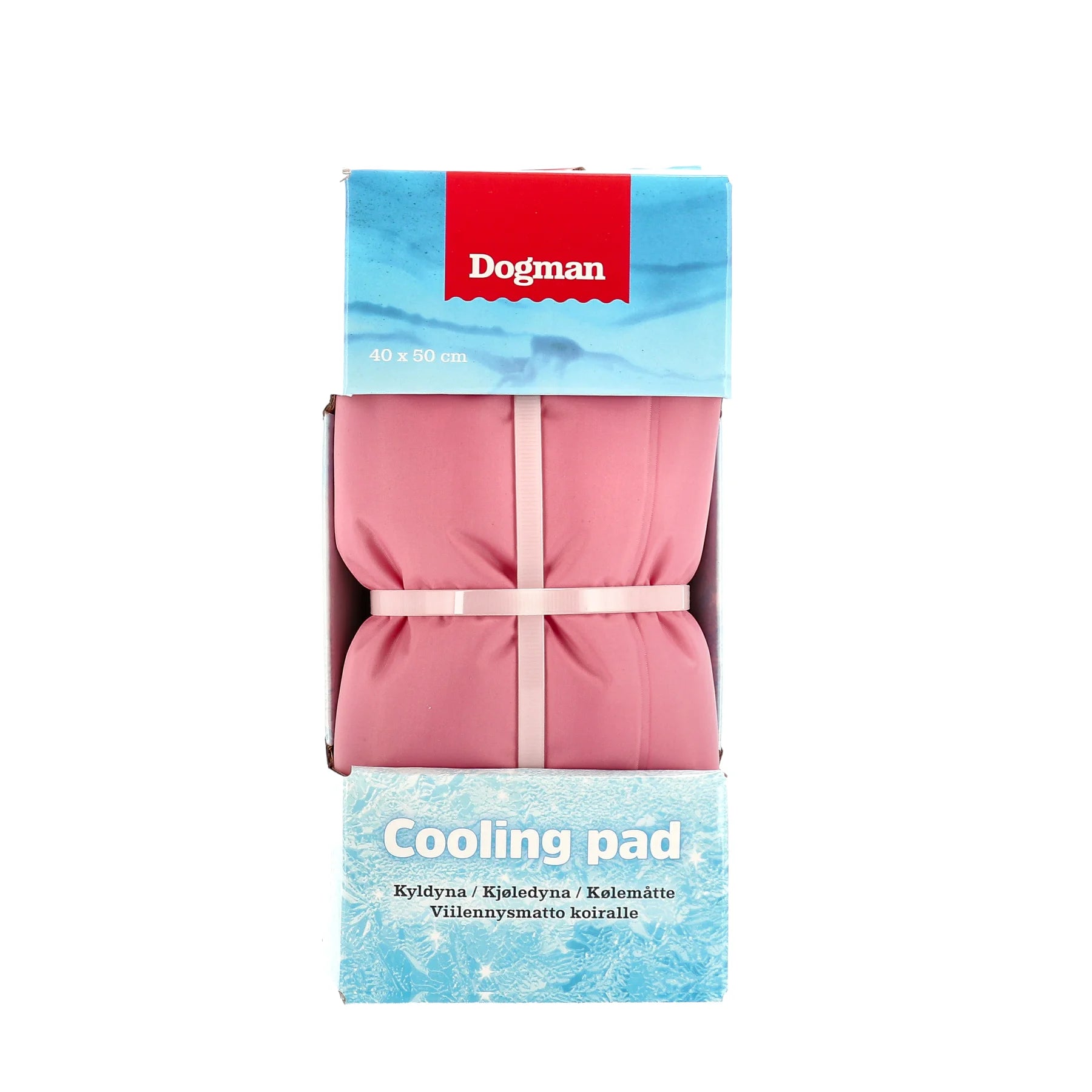 Dogman Kyldyna - Rosa