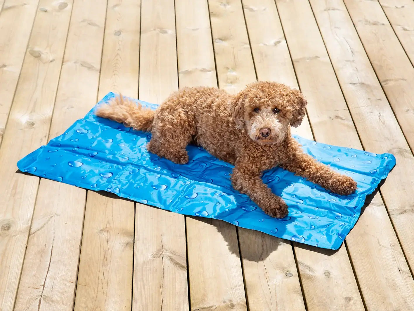 Dogman Droppar Kyldyna - Blå