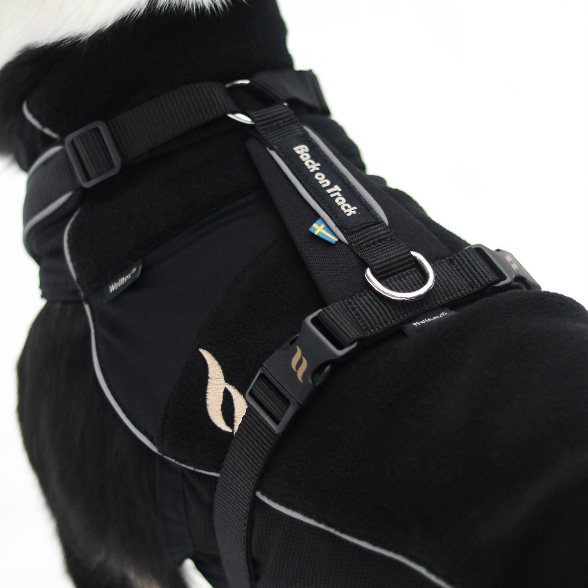 Back on Track Sally Hundsele – Svart