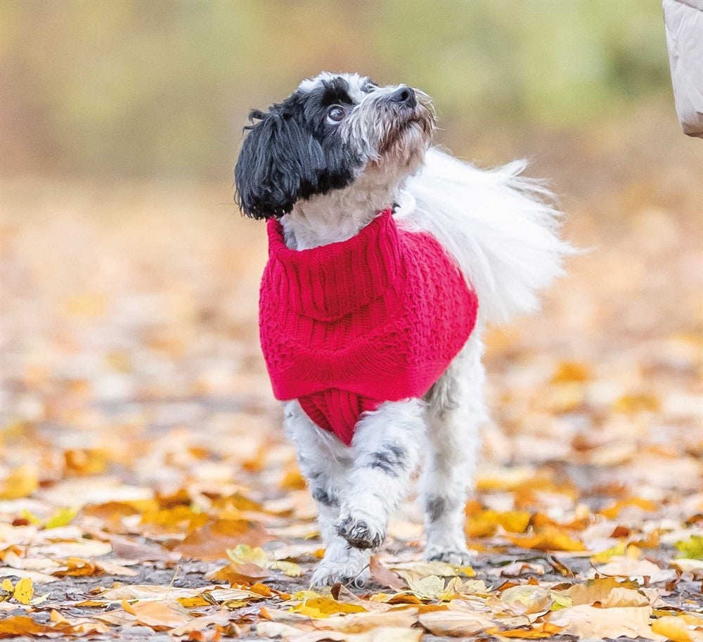 Trixie Pullover Norwood - Röd