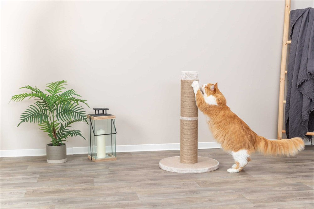 Trixie Rue Klösmöbel XXL 80 cm - Beige