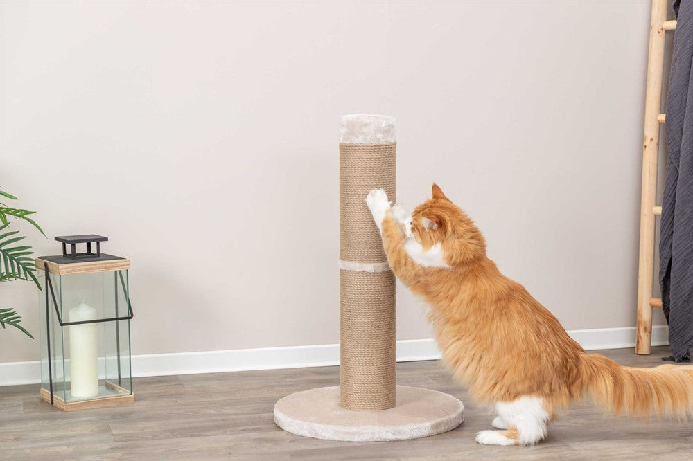 Trixie Rue Klösmöbel XXL 80 cm - Beige