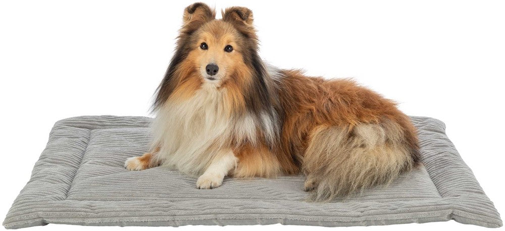 Trixie (BV) Dyna Jonna - Grå