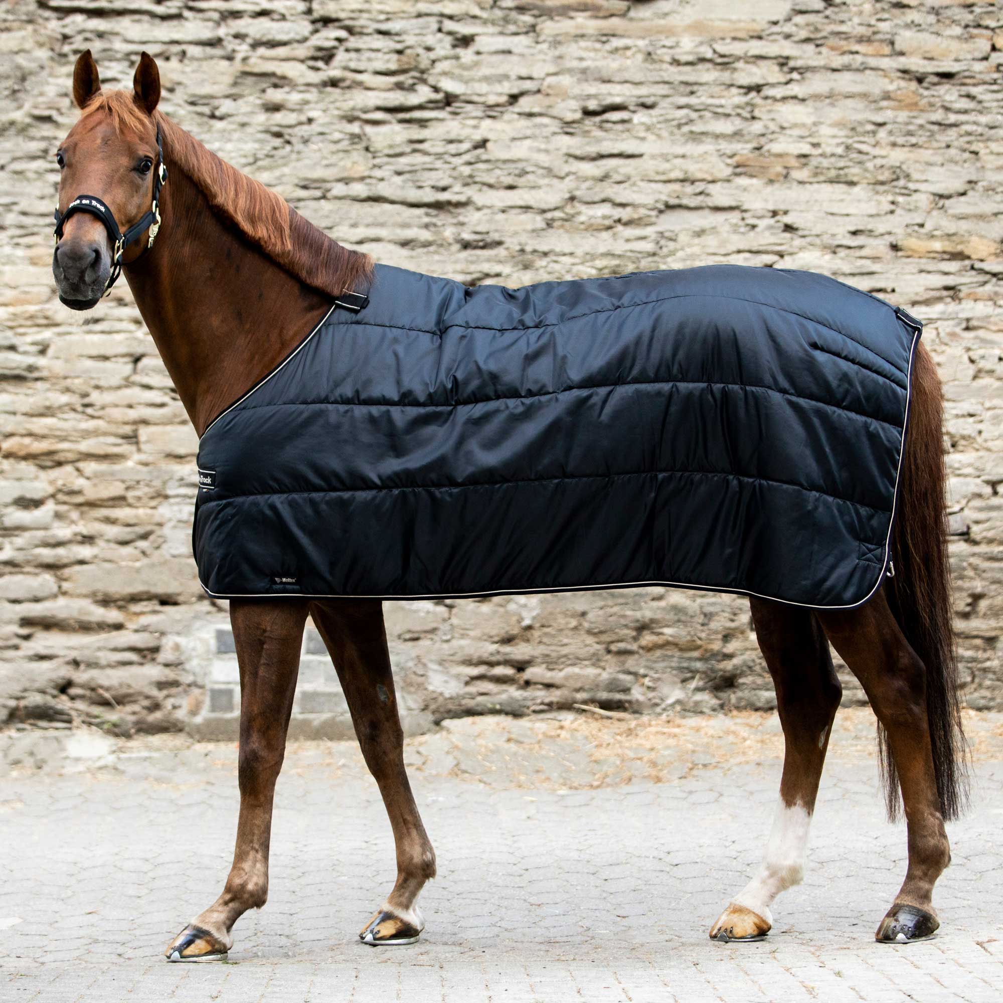 Back on Track Rhyolite Liner 200 g – Svart