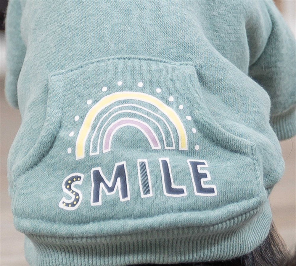 Trixie Sweatshirt Littleton - Mint
