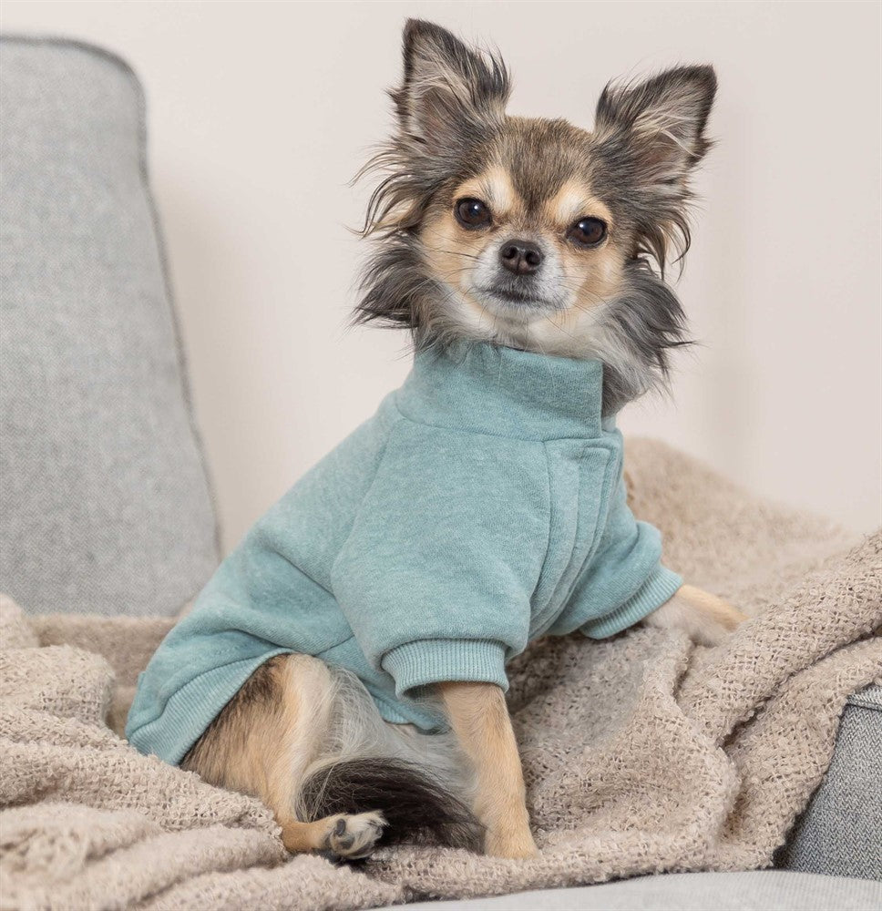 Trixie Sweatshirt Littleton - Mint