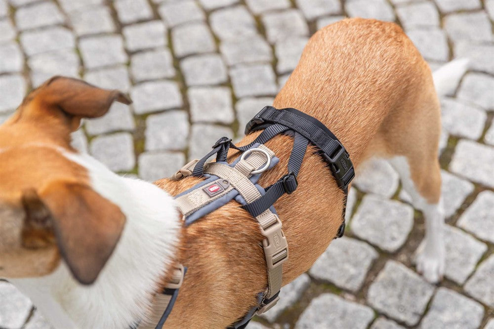 Trixie Stay Panic-adapter för sele - Svart