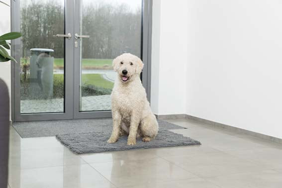 Trixie Vattentät smutsabsorberande matta - Grå