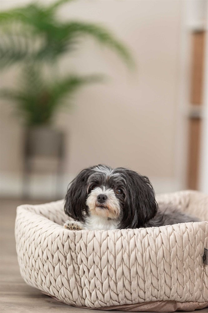 Trixie (BV) Bädd Livia ø 50 cm - Sand