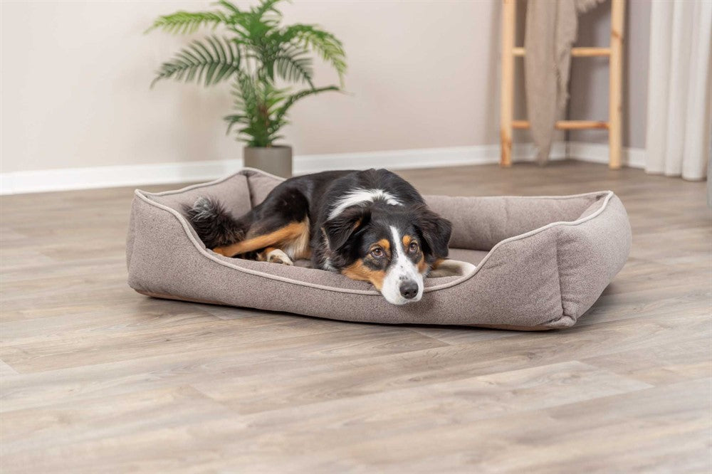 Trixie Vital Bädd Laurin 60×50 cm - Sand