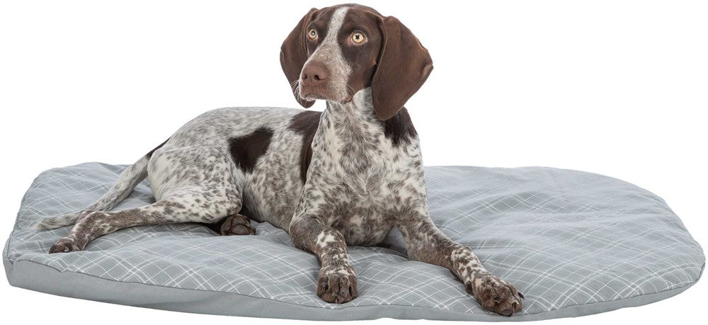 Trixie (BV) Dyna Jessie - Grå/vit