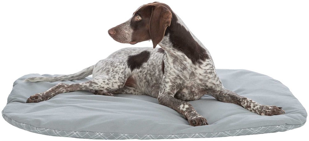 Trixie (BV) Dyna Jessie - Grå/vit