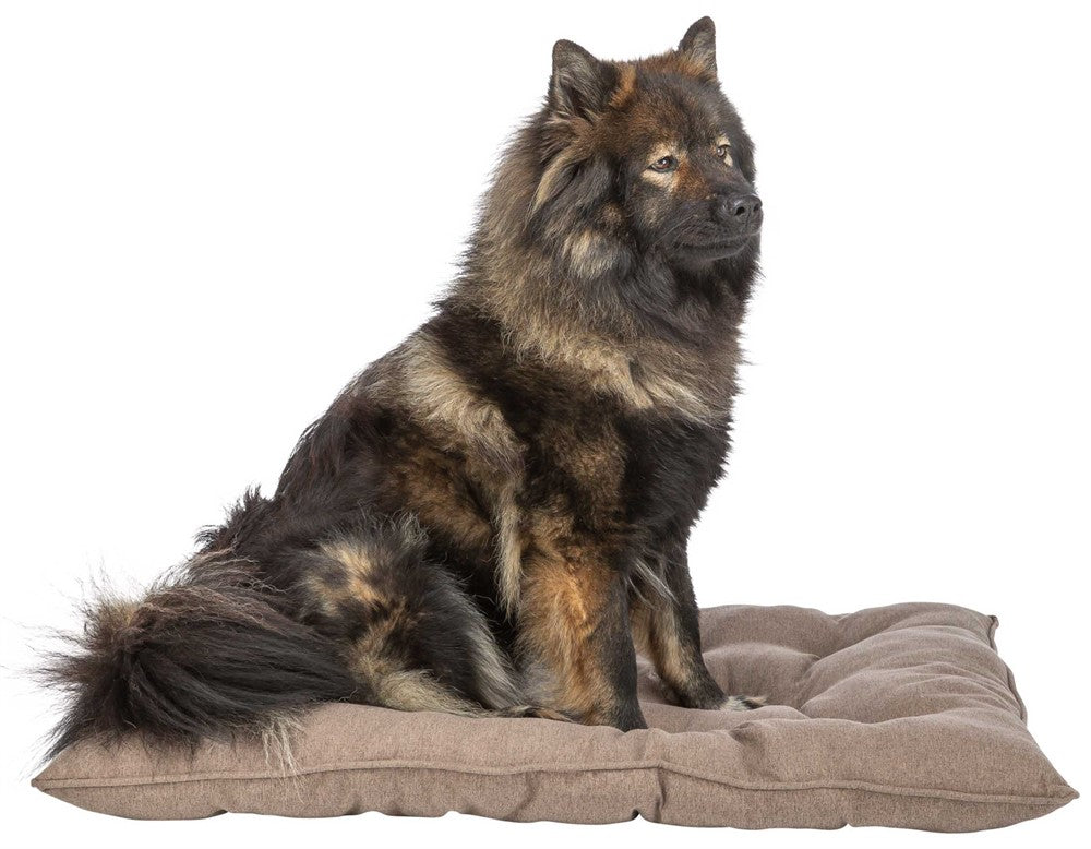 Trixie (BV) Caliente liggmatta - Mörkgrå