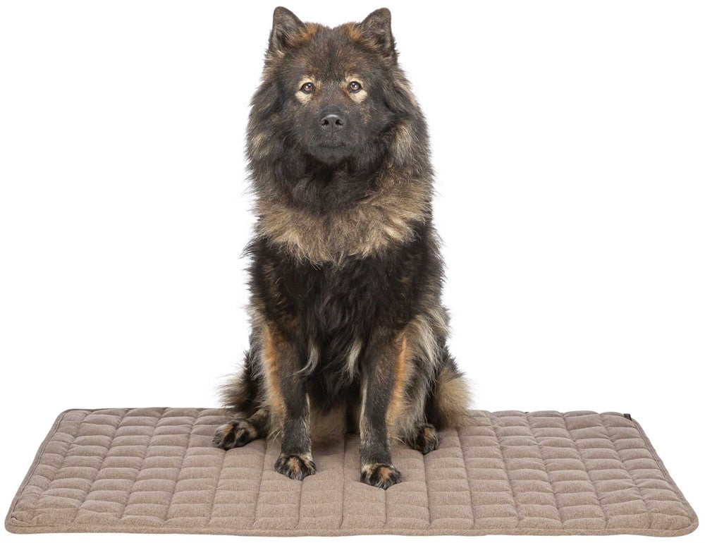 Trixie (BV) Caliente liggmatta - Brun