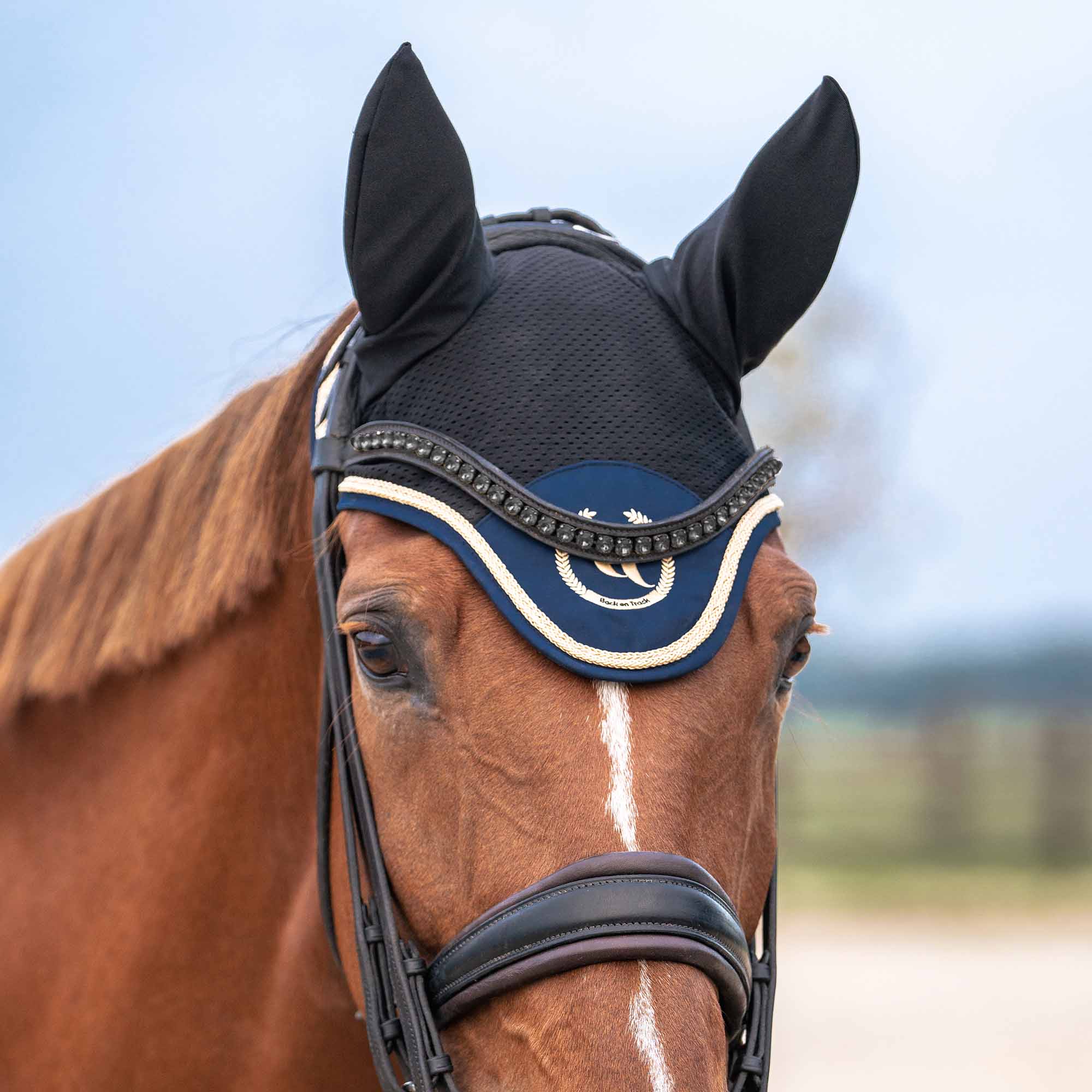 Back on Track Nights Collection Hästhuva – Noble Blue