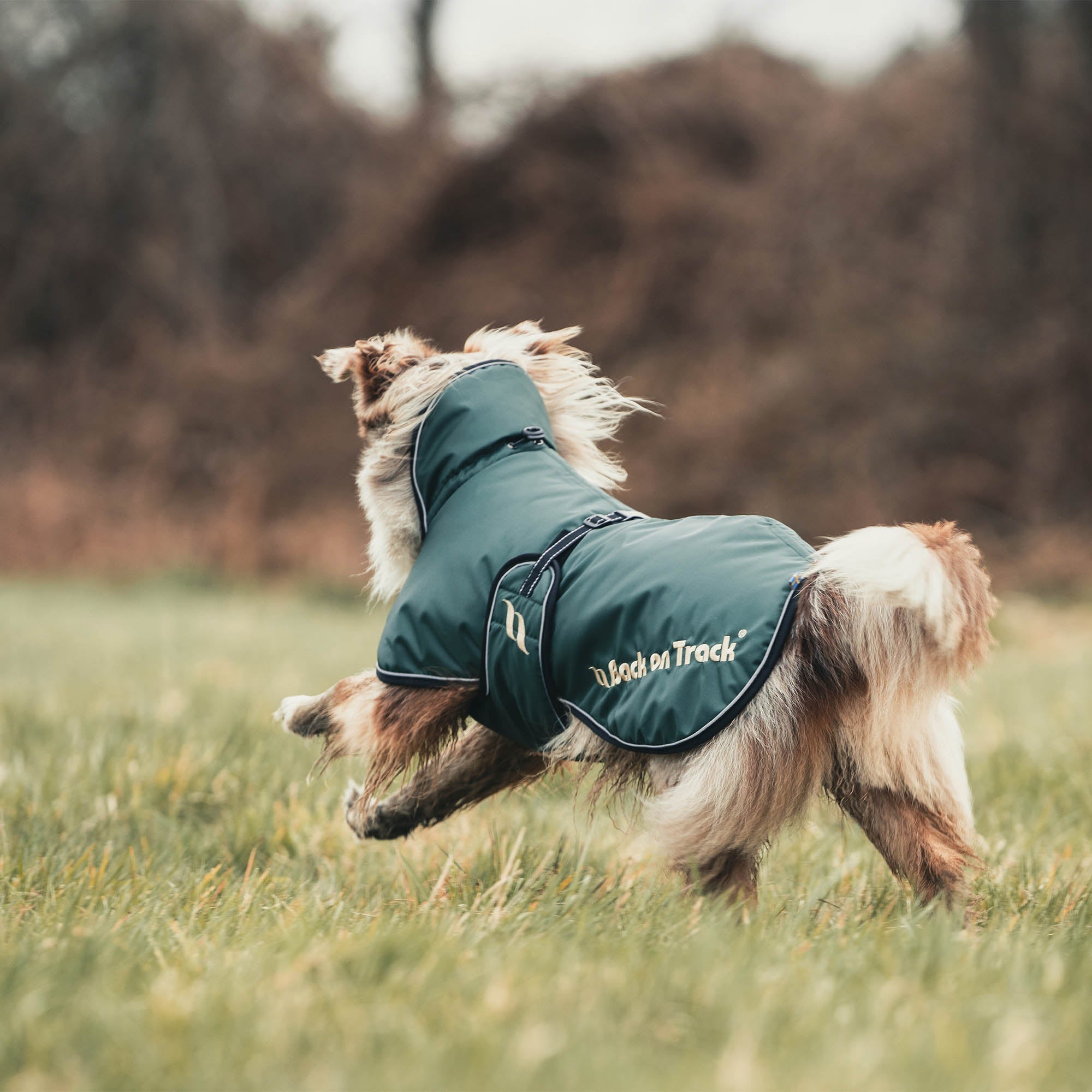 Back on Track Sunny Hundtäcke med fyllning – Grön