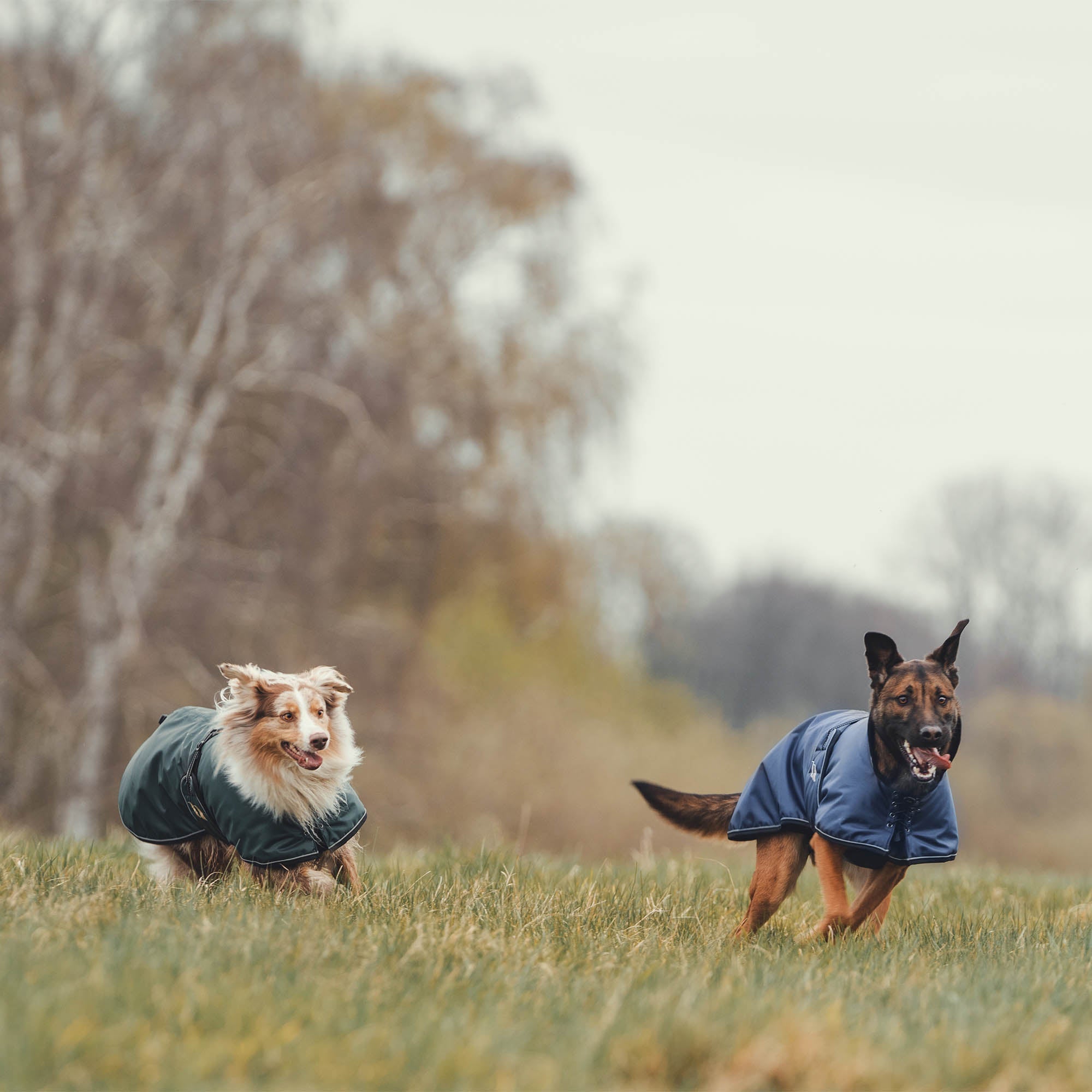 Back on Track Sunny Hundtäcke med fyllning – Grön