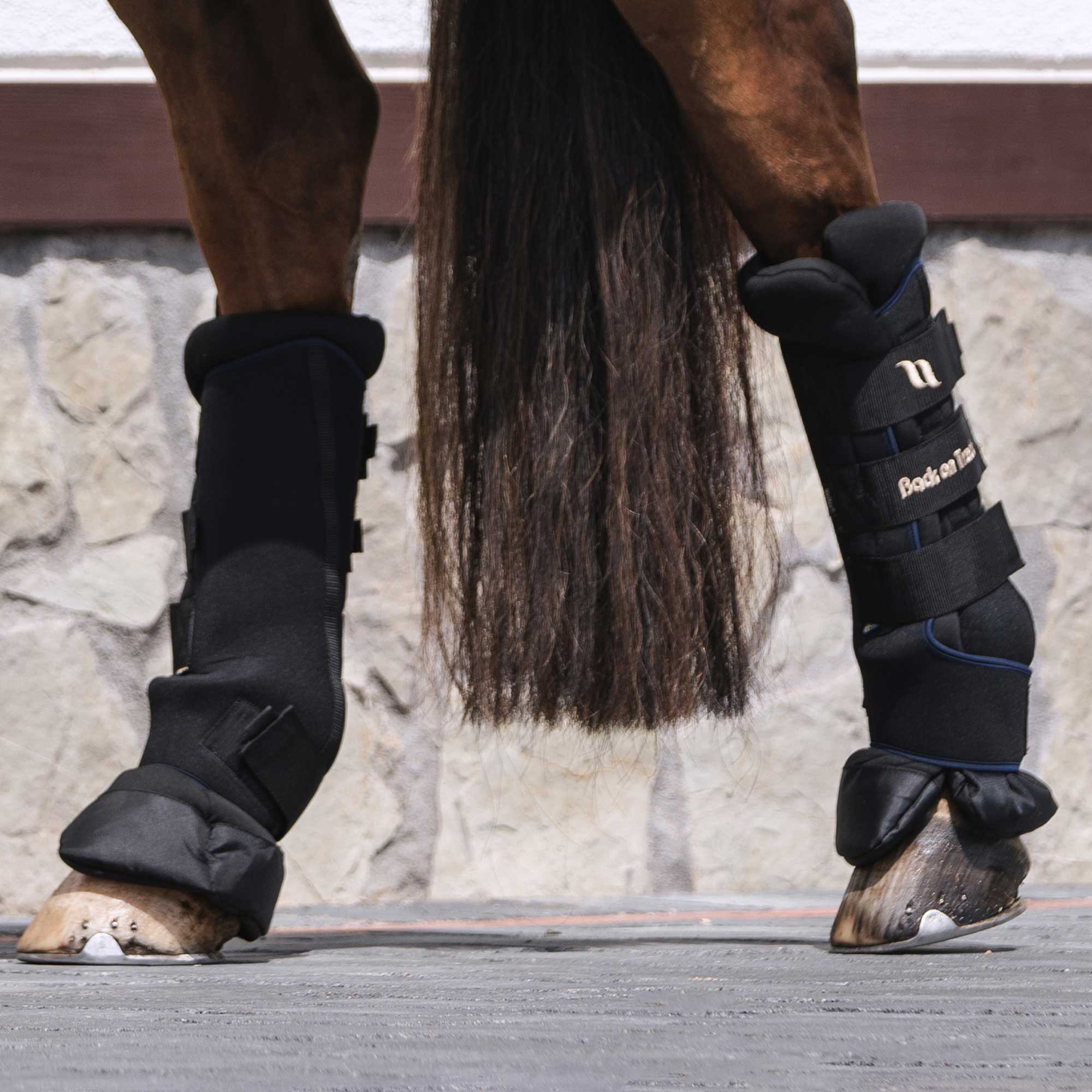 Back on Track Quick Wraps Royal Deluxe – Blå