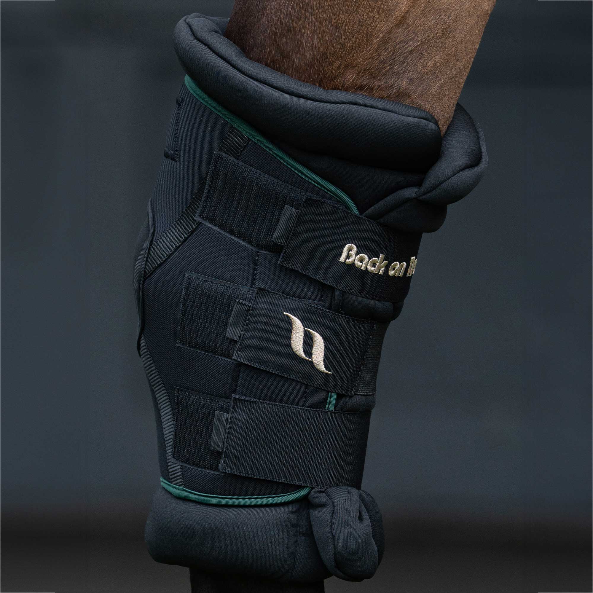 Back on Track Royal Hasskydd Deluxe – Grön