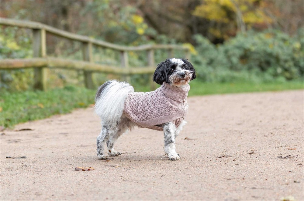 Trixie Pullover Norwood - Blush