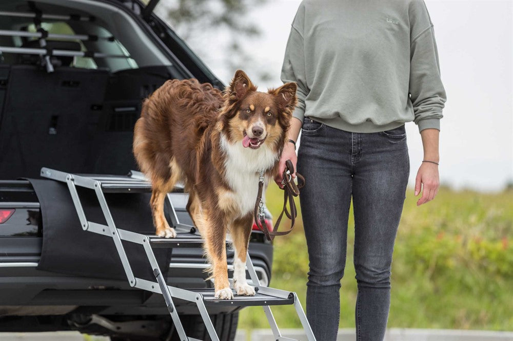 Trixie Trappa 4-stegs hopfällbar alu b:37 h: till 70 djup: till 160cm