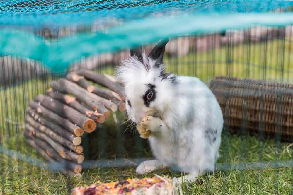 Trixie Utehage med skyddsnät, galv 6 sekt - ø 120x58 cm