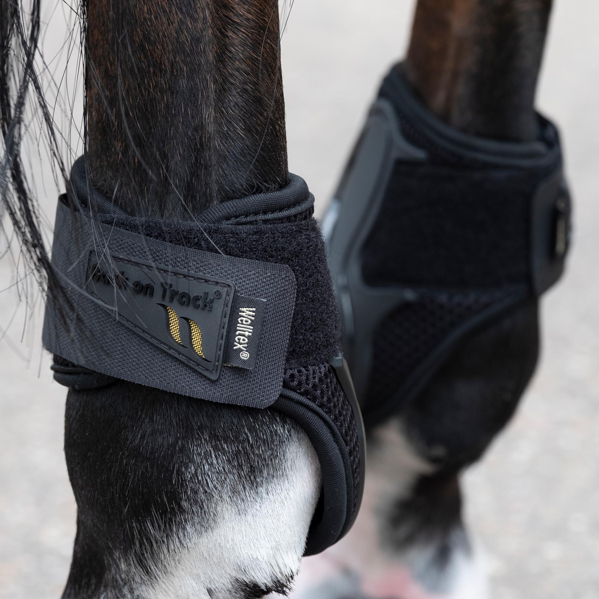 Back on Track Airflow Bakskydd – Svart