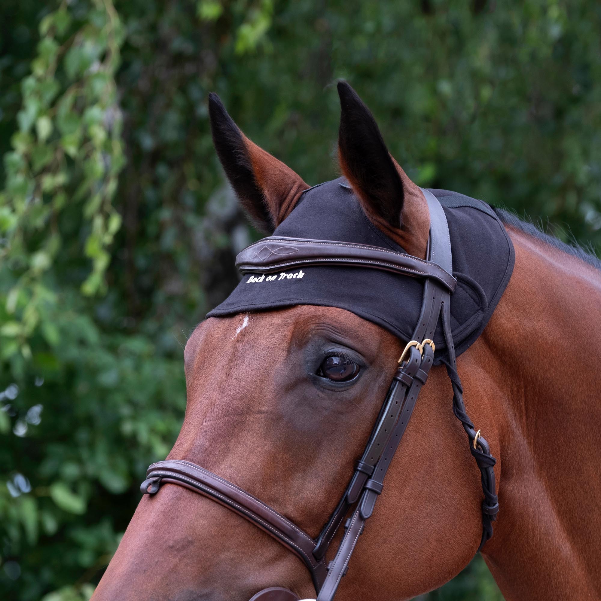 Back on Track Hästnackskydd – Svart