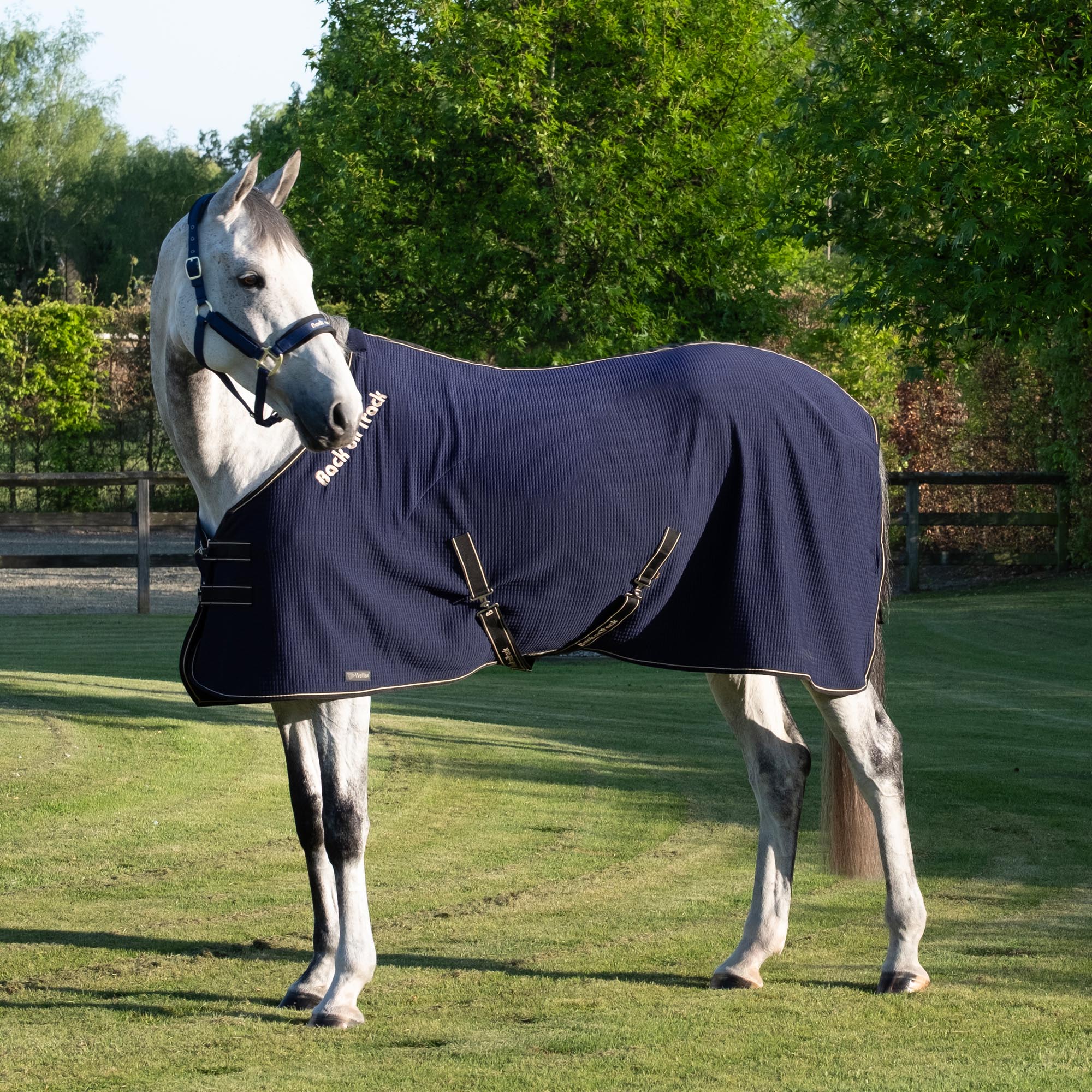 Back on Track Quick Cooler Svettäcke – Blå