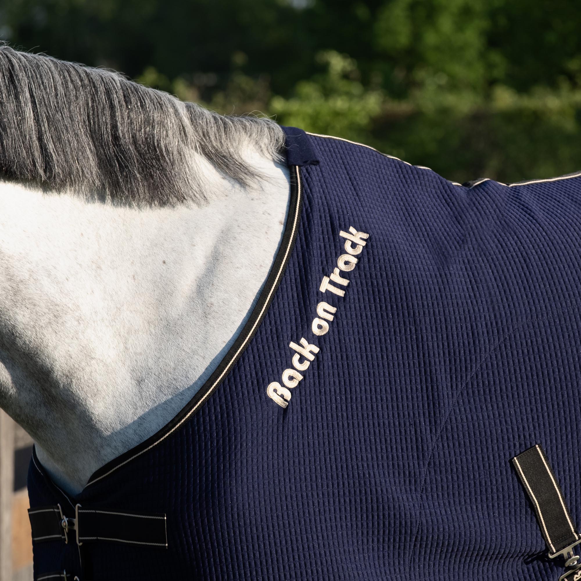 Back on Track Quick Cooler Svettäcke – Blå