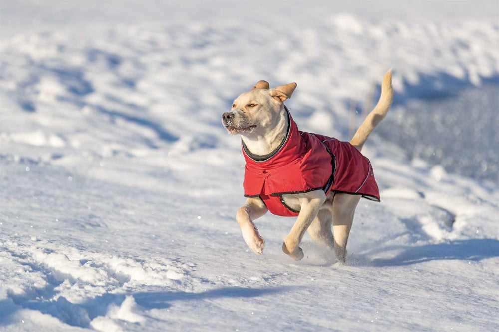 Trixie Vintertäcke Explore Thermo - Röd