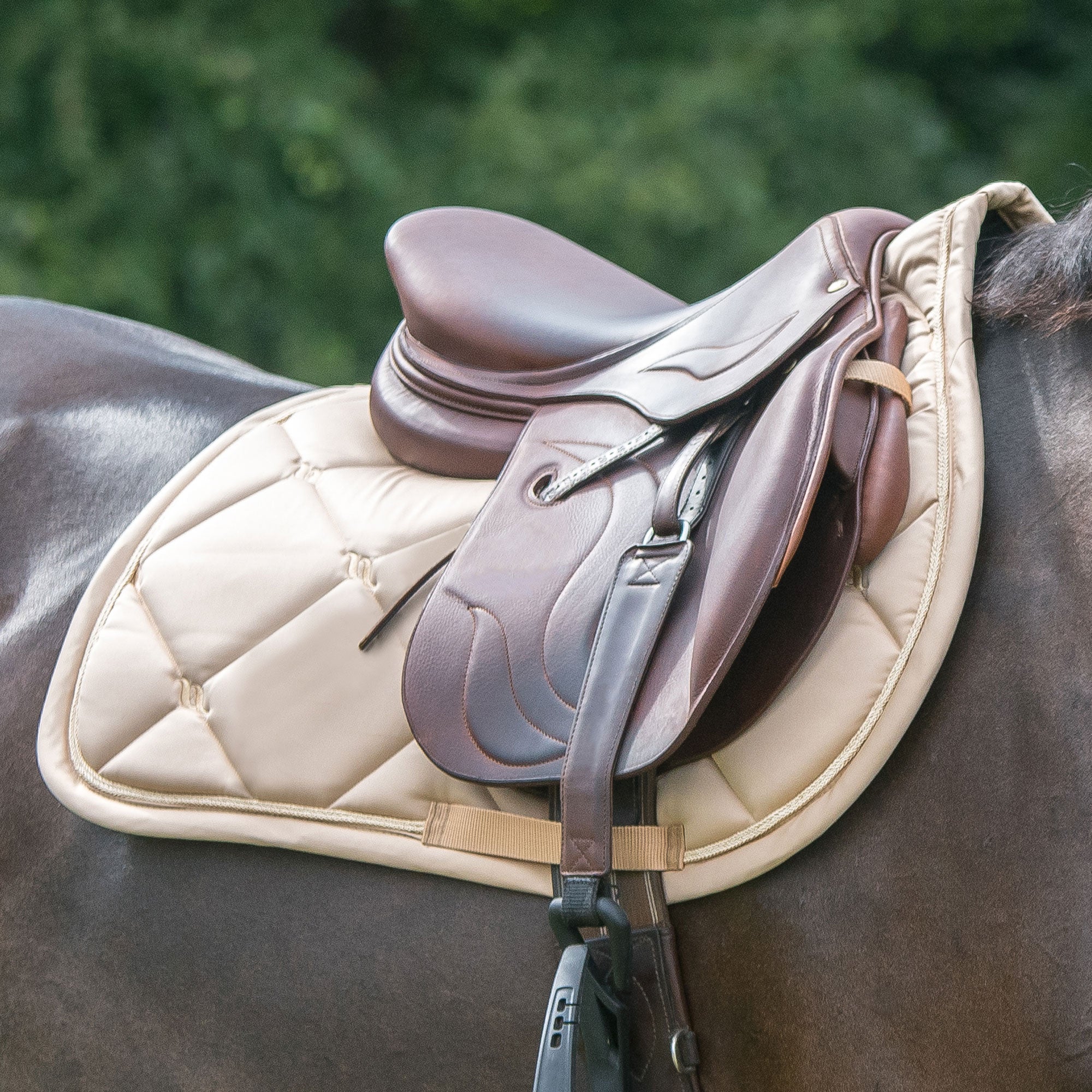 Back on Track Nights Collection Schabrak Hopp – Champagne