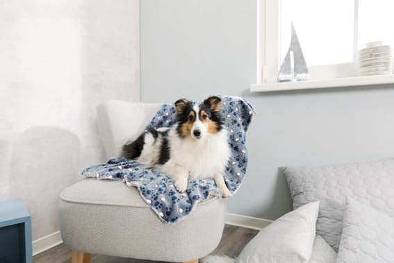 Trixie Tammy filt plysch 10 cm - Blå/beige