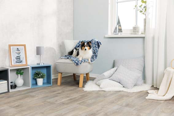 Trixie Tammy filt plysch 10 cm - Blå/beige