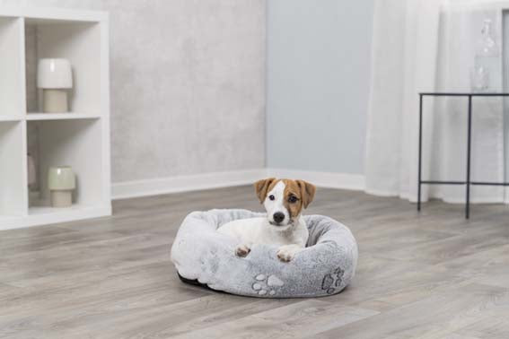 Trixie Nando bädd rund 50×40 cm - Ljusgrå