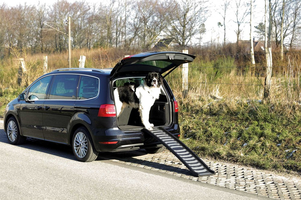 Trixie Ramp Petwalk hopfällbar 39×160 cm plast - Svart