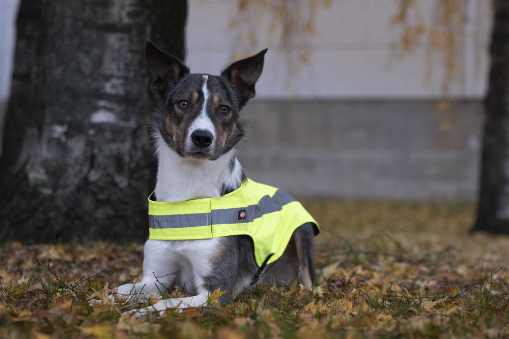 Trixie Säkerhetsväst - Reflex