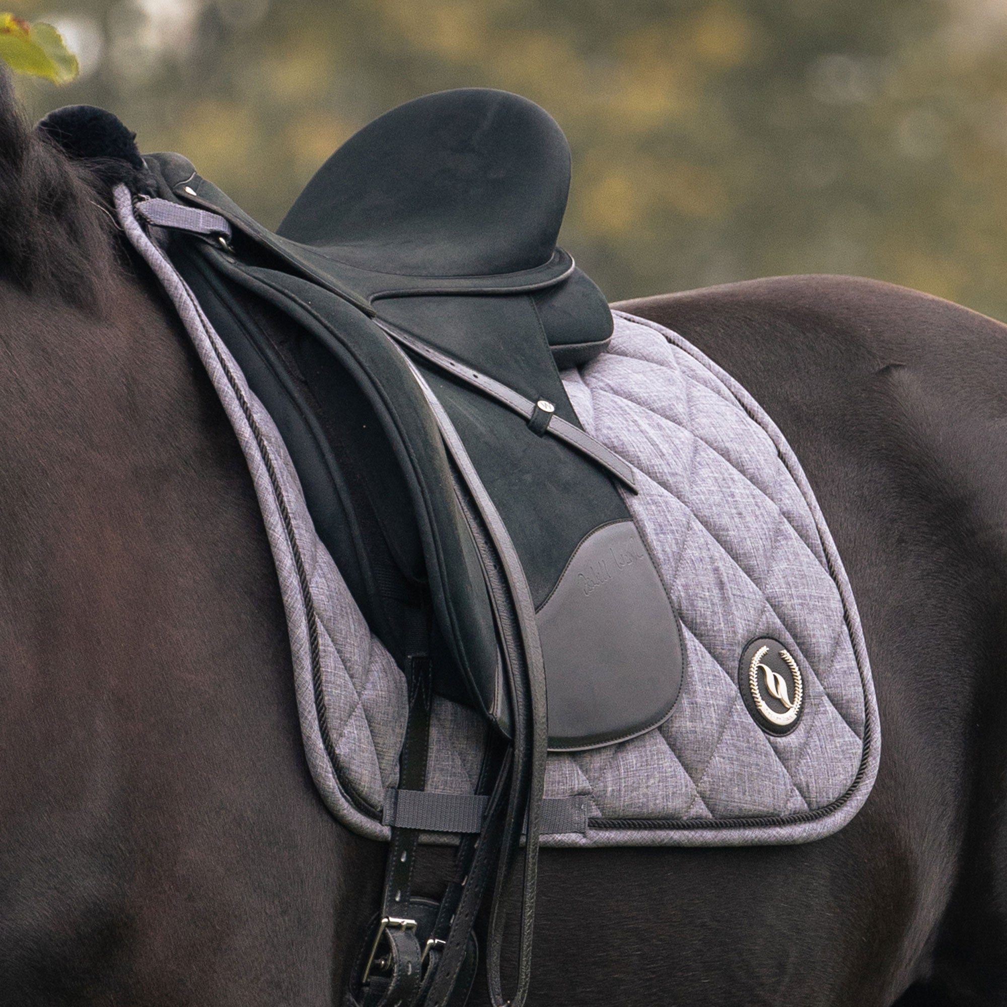 Back on Track Haze Collection Schabrak Dressyr – Grå