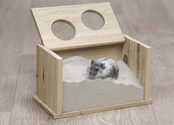 Trixie Sandbad mus/hamster Trä 20×12×12 cm